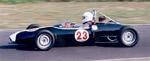 Lotus-31